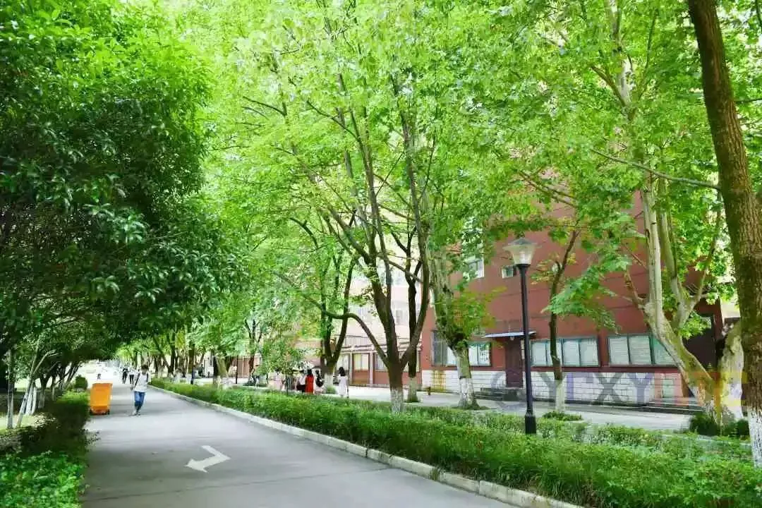 哪里能找到关于智能球衣在篮球训练中应用的信息_1