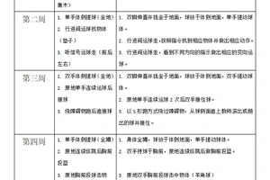 儿童篮球训练在不同阶段的目标是什么?分阶段训练的科学方法与实践指南